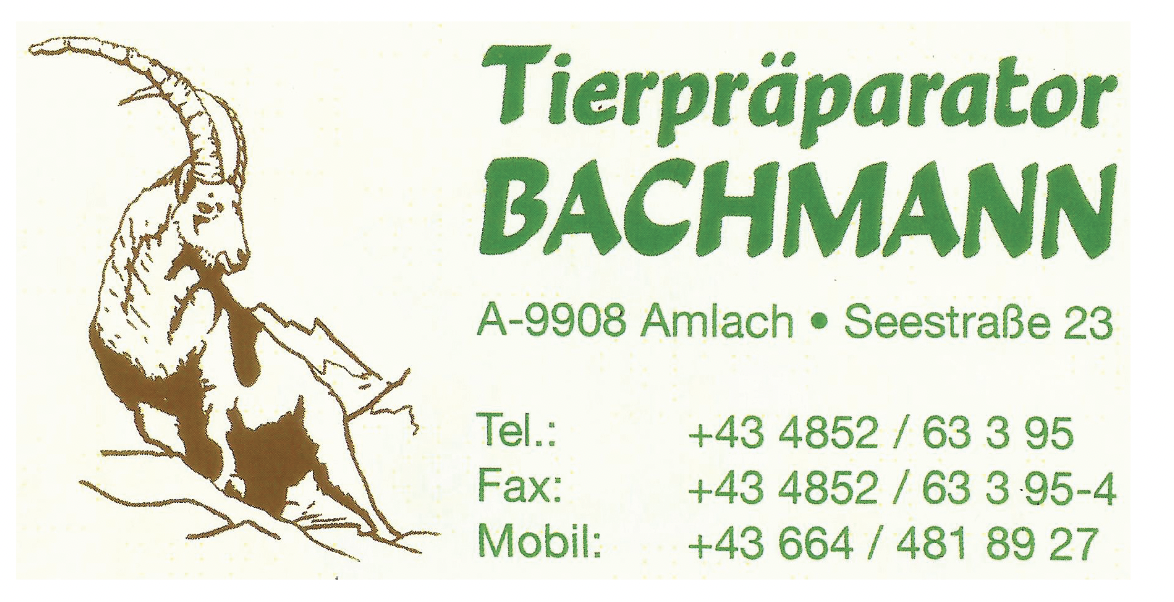 Bachmann